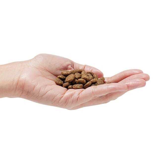 Grain-Free Dog Food k7m
