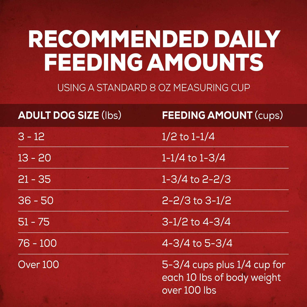Dry Dog Food Savory Beef a7