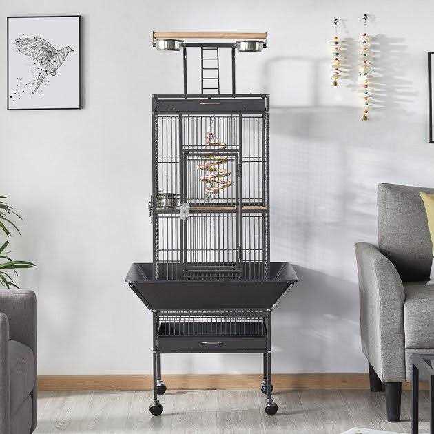 Parrot Cage with Playtop 61in a7