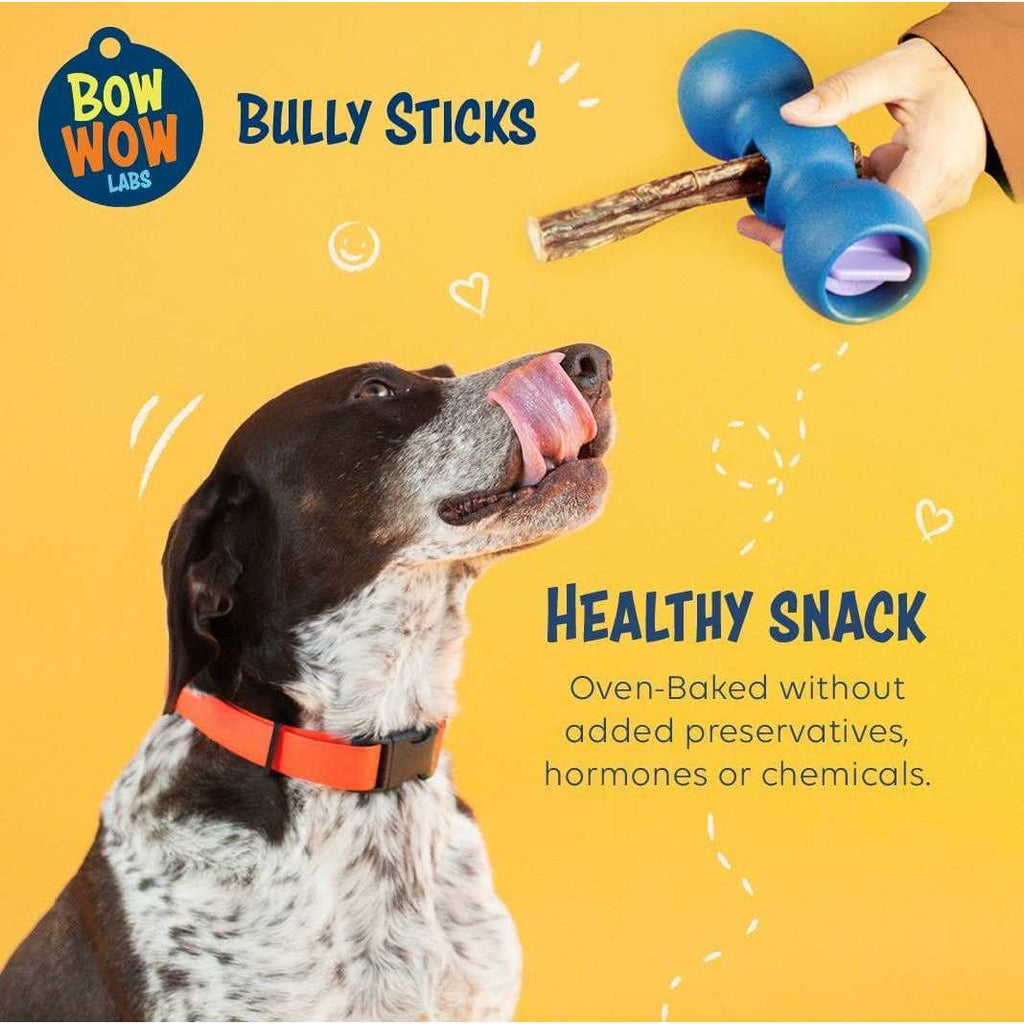 Bully Sticks for Dogs Pet Supplies k7m