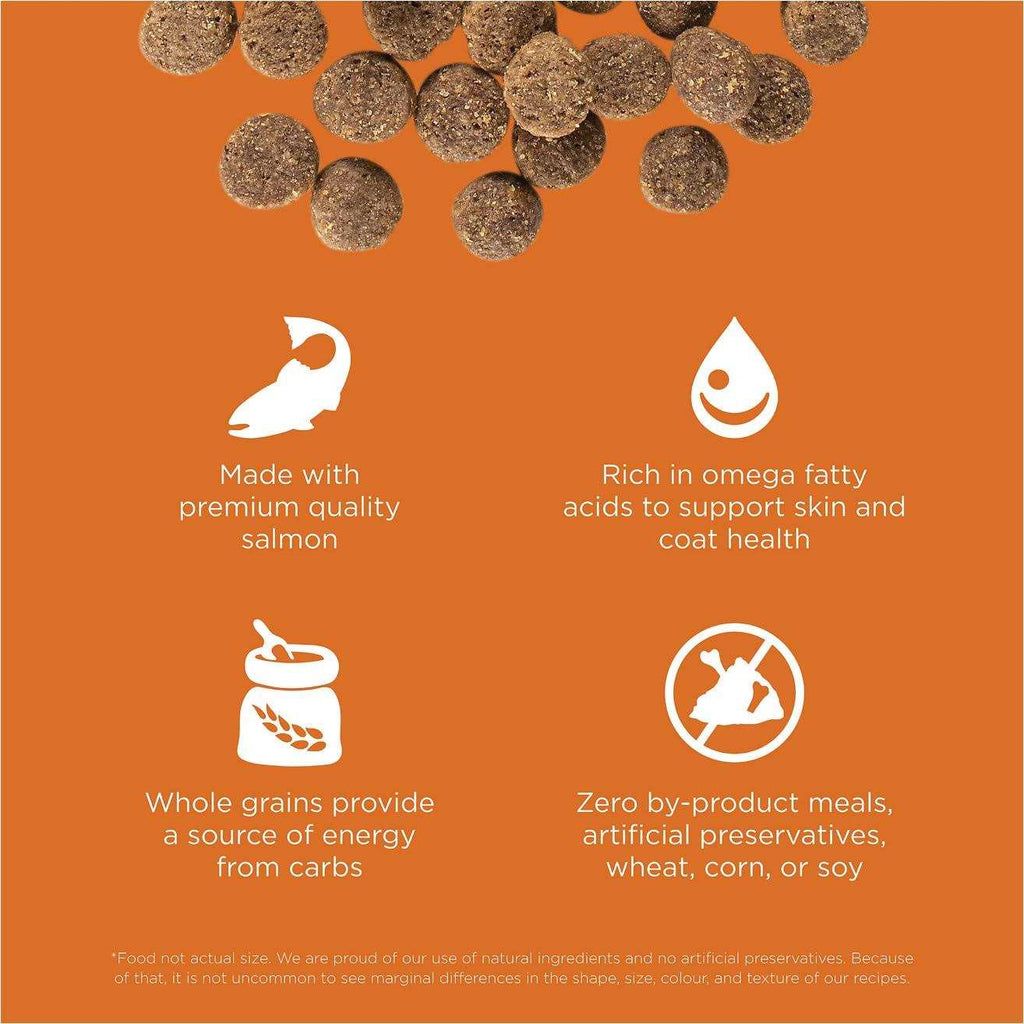 Dog Food Salmon Recipe Dry Dog Food k7p