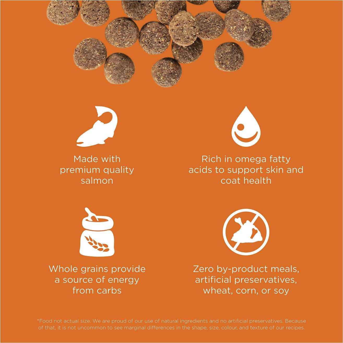 Dog Food Salmon Recipe Dry Dog Food k7p