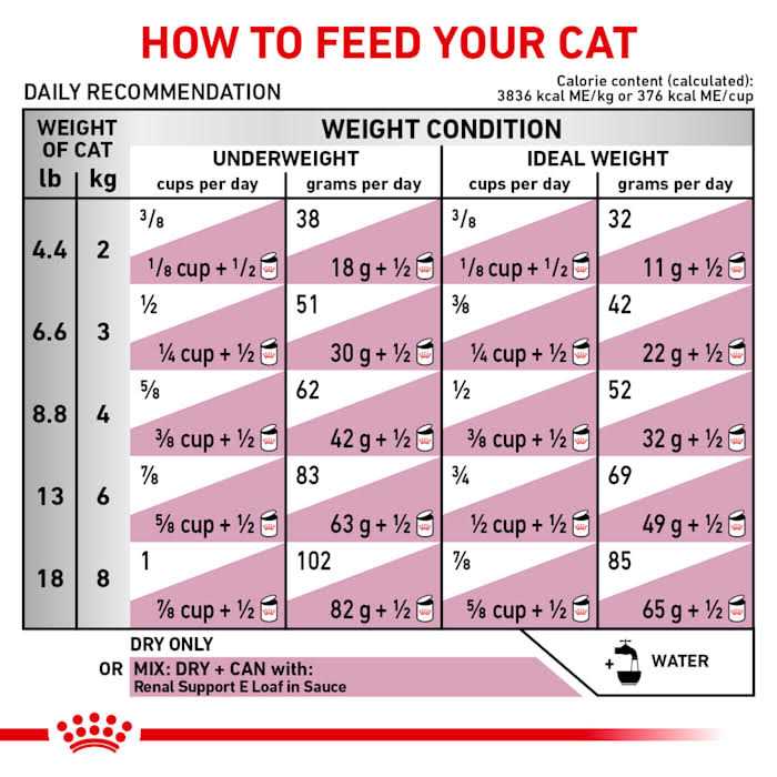 Dry Cat Food for Renal Support k7