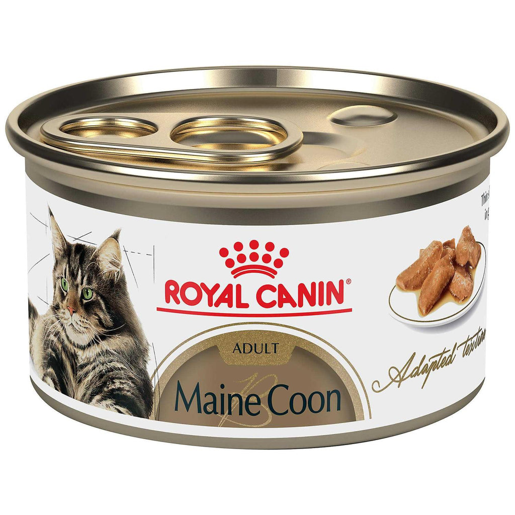 Maine Coon Cat Food in Gravy Canned 7k