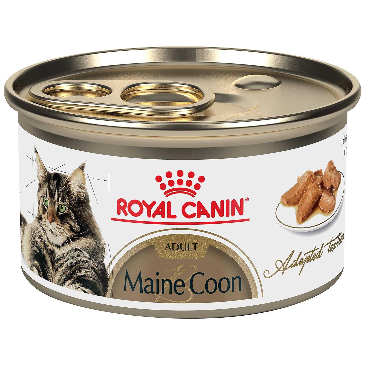 Maine Coon Cat Food in Gravy Canned 7k