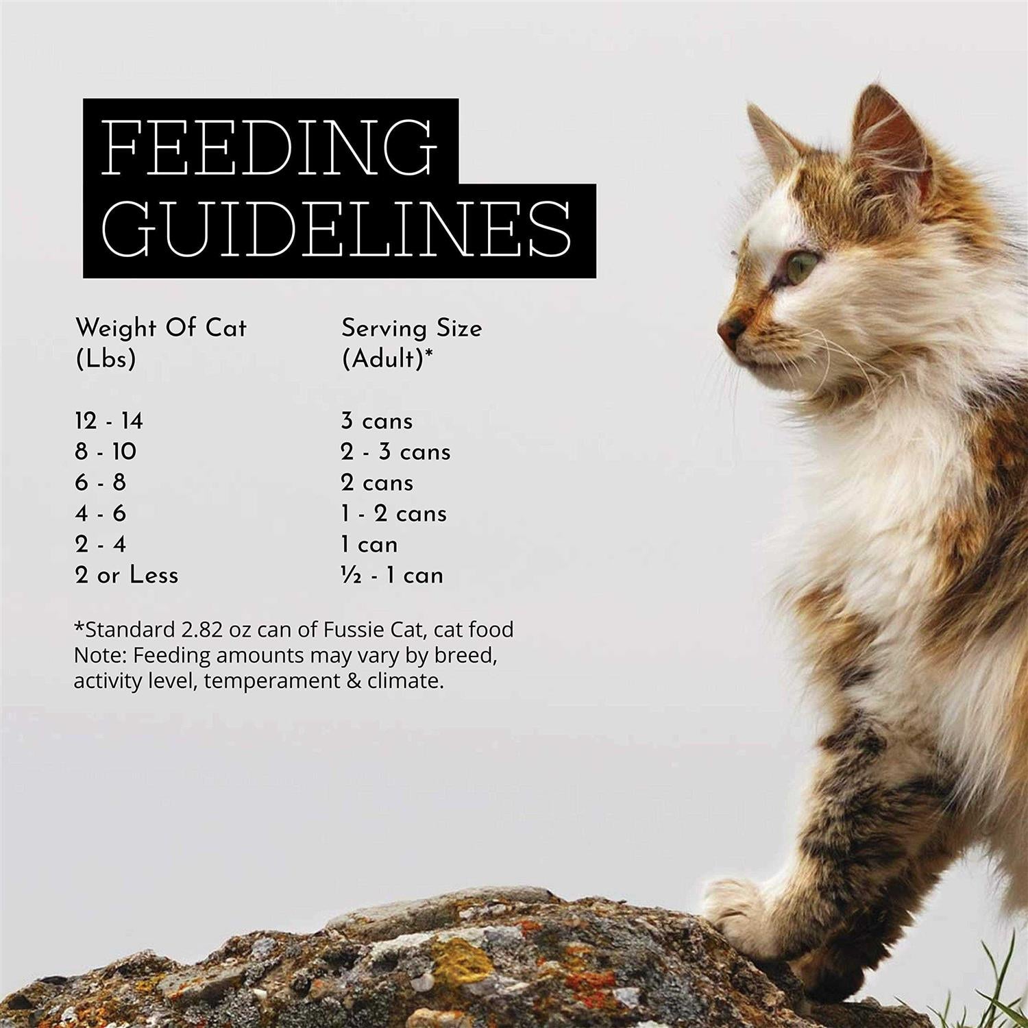 Chicken Gravy Cat Food k7m
