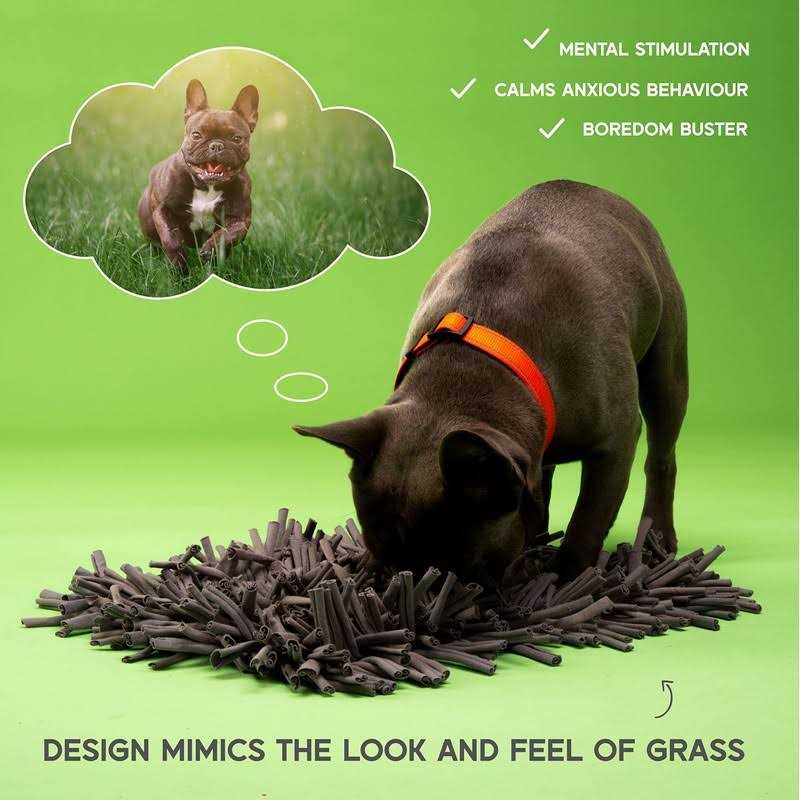 Snuffle Mat for Dogs Feeding Mat a7
