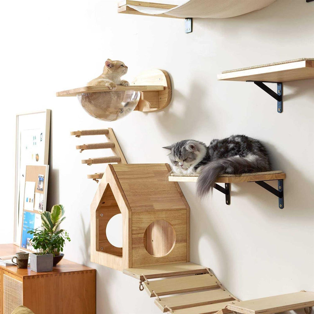Cat Wall Furniture Set Transparent Capsule Shelves with Pedals k7m