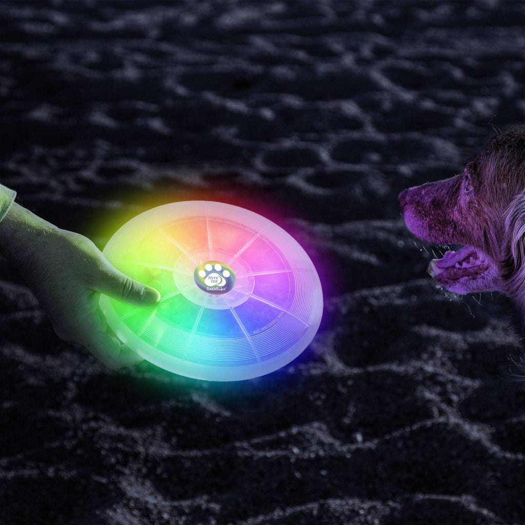 Dog LED Flying Disc k7p