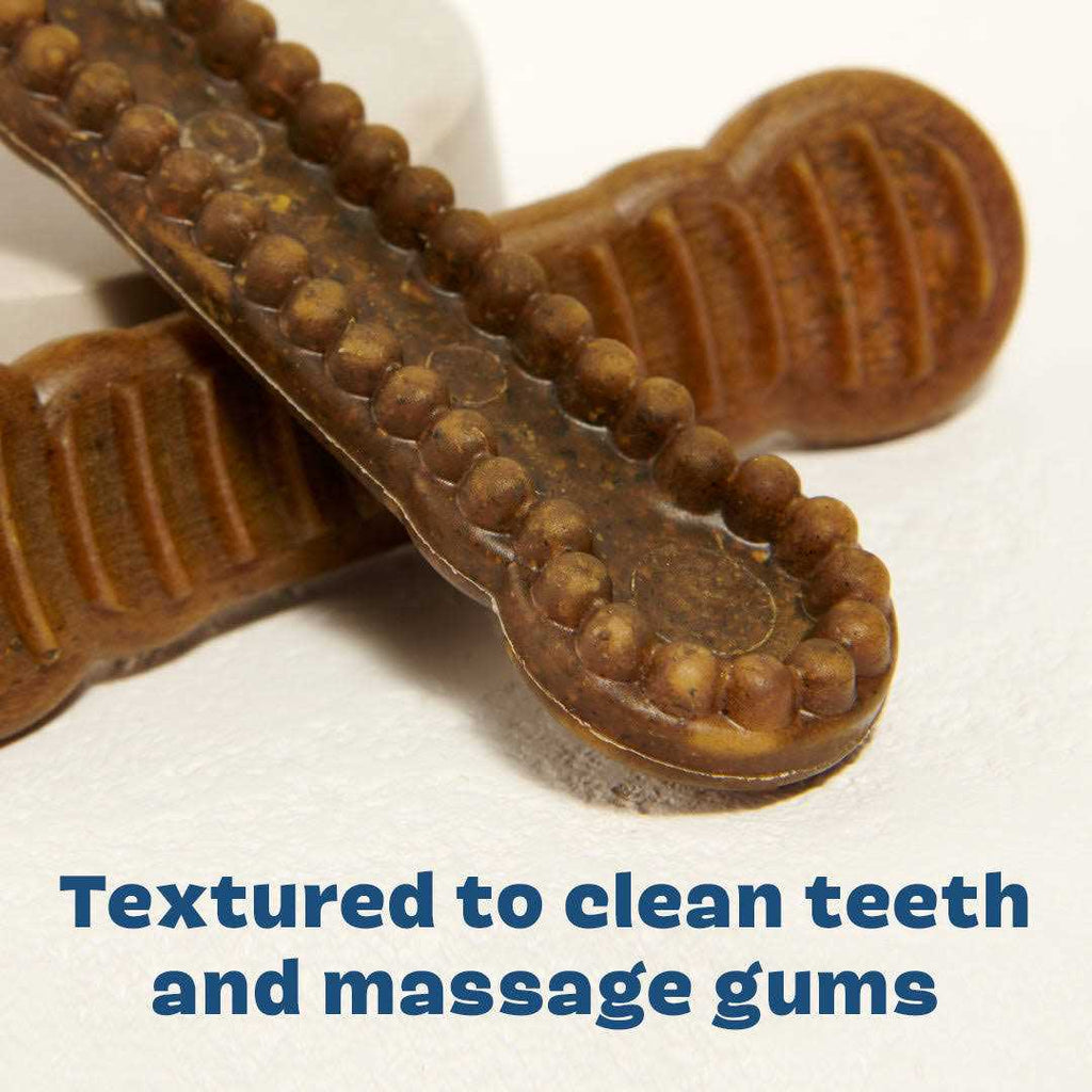 Durable Dog Dental Chews Long Lasting a7
