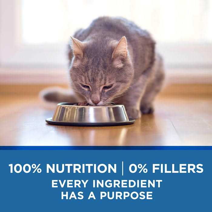 Chicken & Ocean Wet Cat Food for Mature Cats 7+ k9