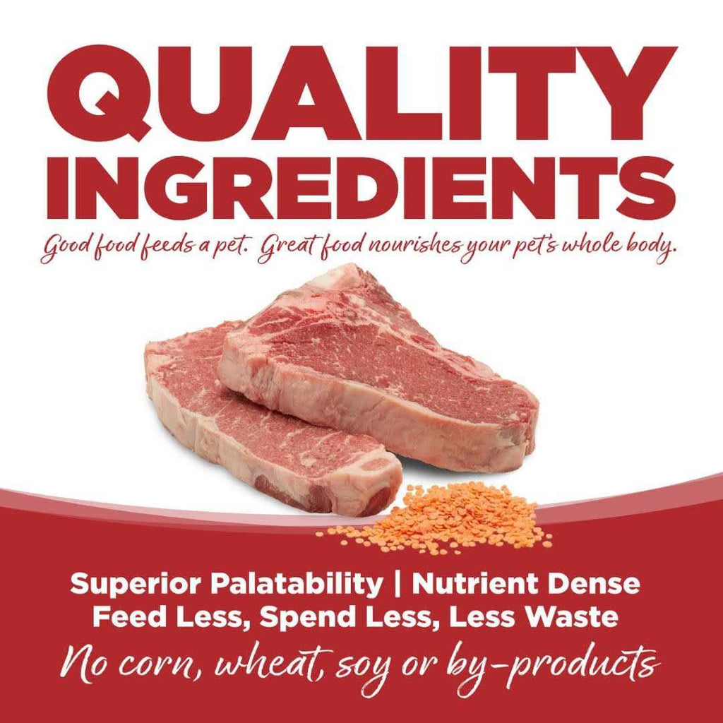 Grain Free Dry Dog Food Beef Red Lentils k7