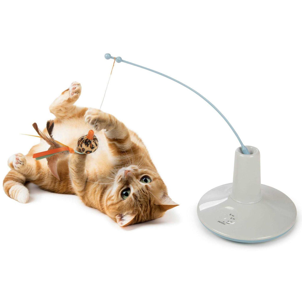 Cat Wand Toy k7p