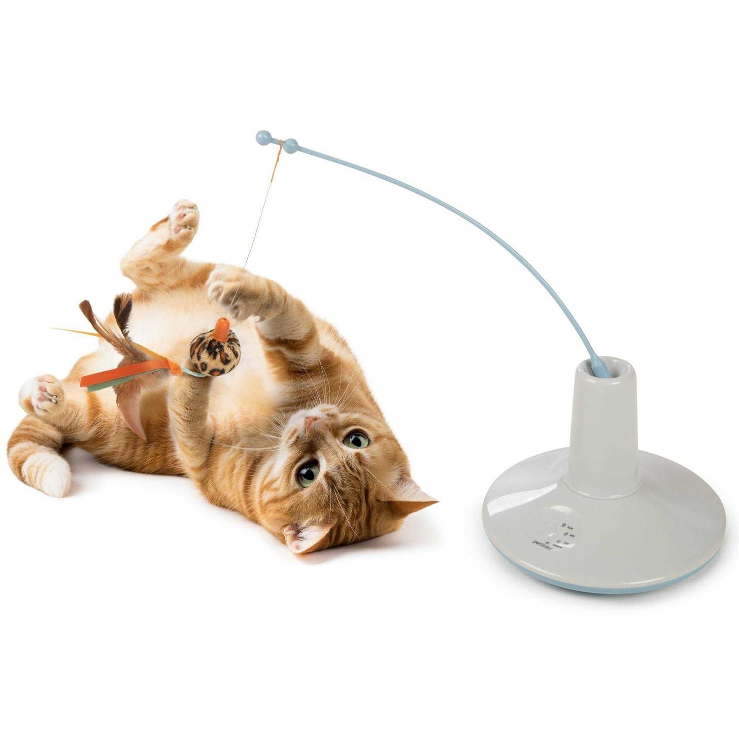Cat Wand Toy k7p