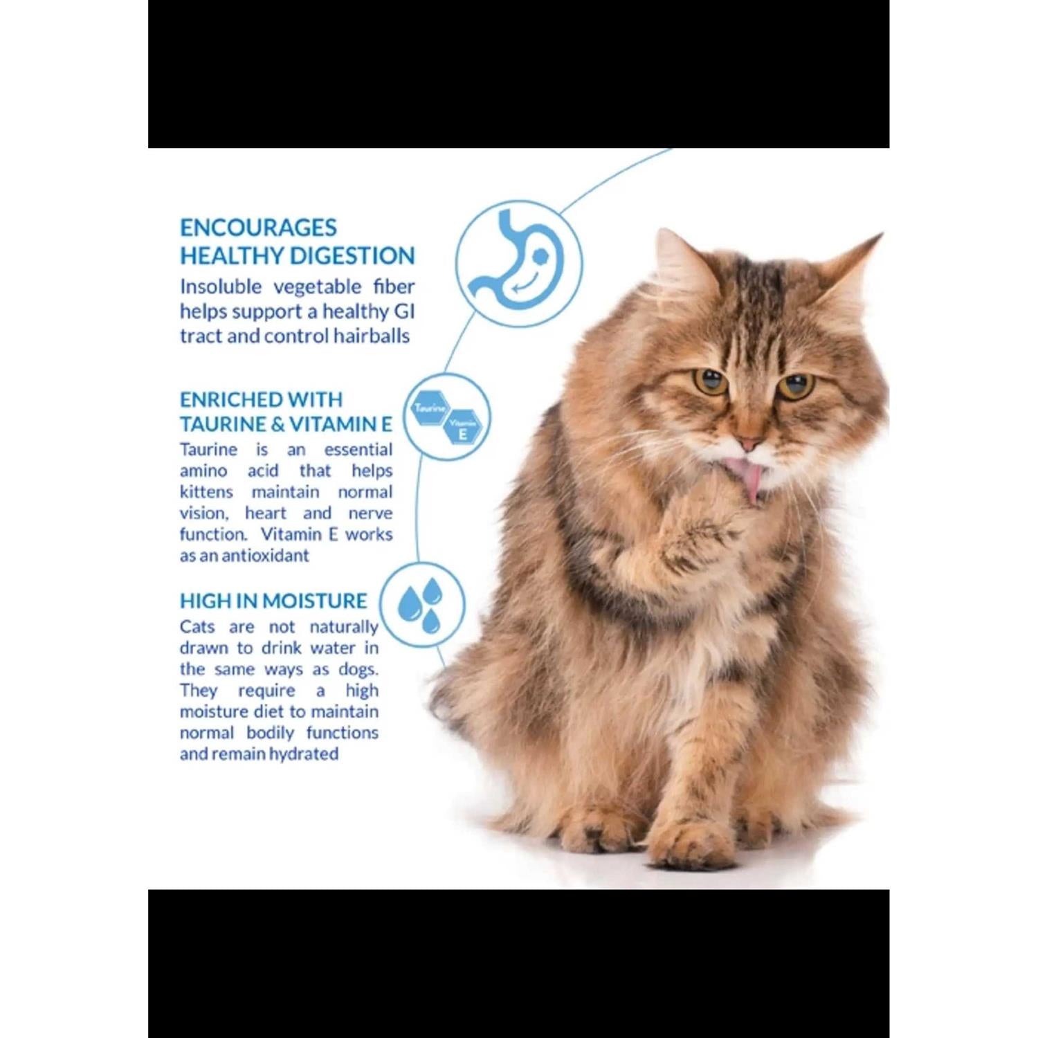 Churu Hairball Control Cat Treat Chicken a7