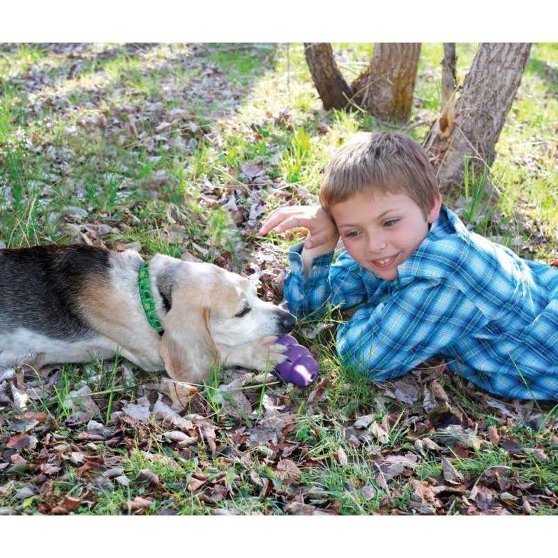 Dog Toy for Senior Dogs a7