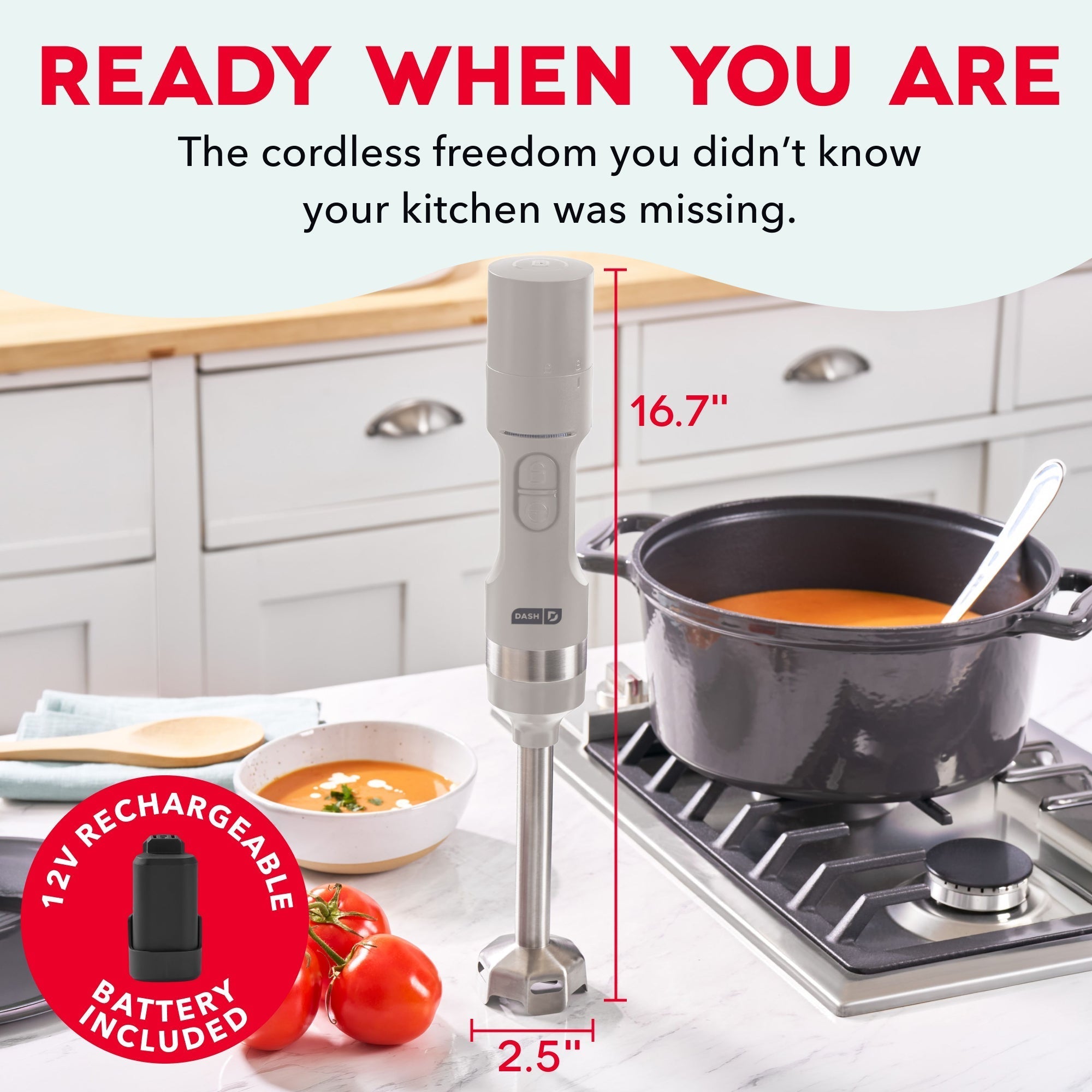 Cordless Immersion Blender T5　dL LX