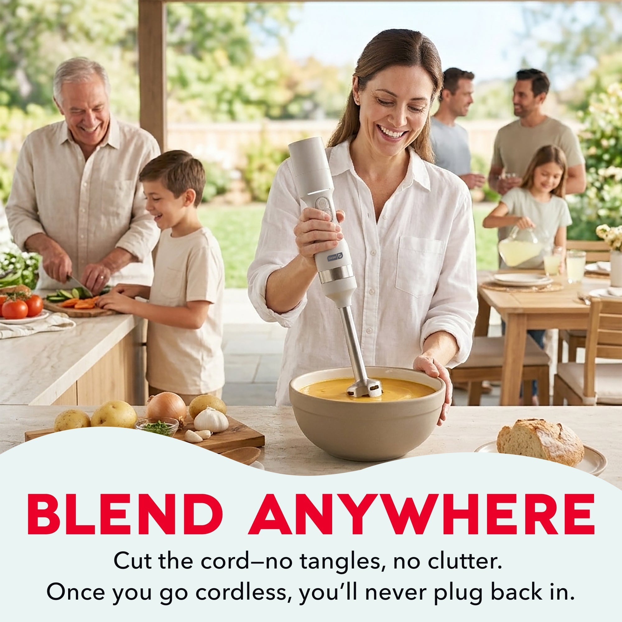 Cordless Immersion Blender T5　dL LX