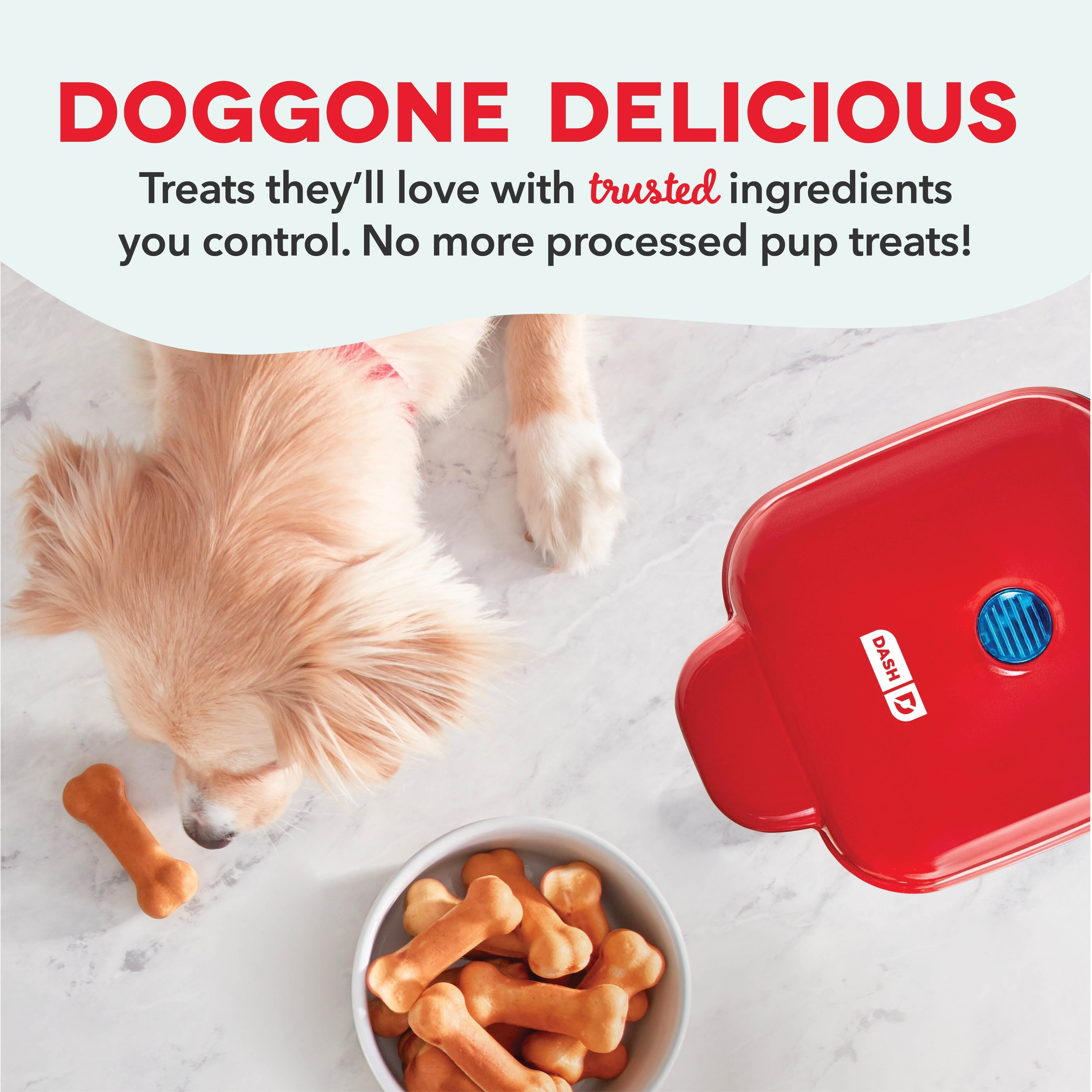 Mini Dog Treat Maker J2　XT b6