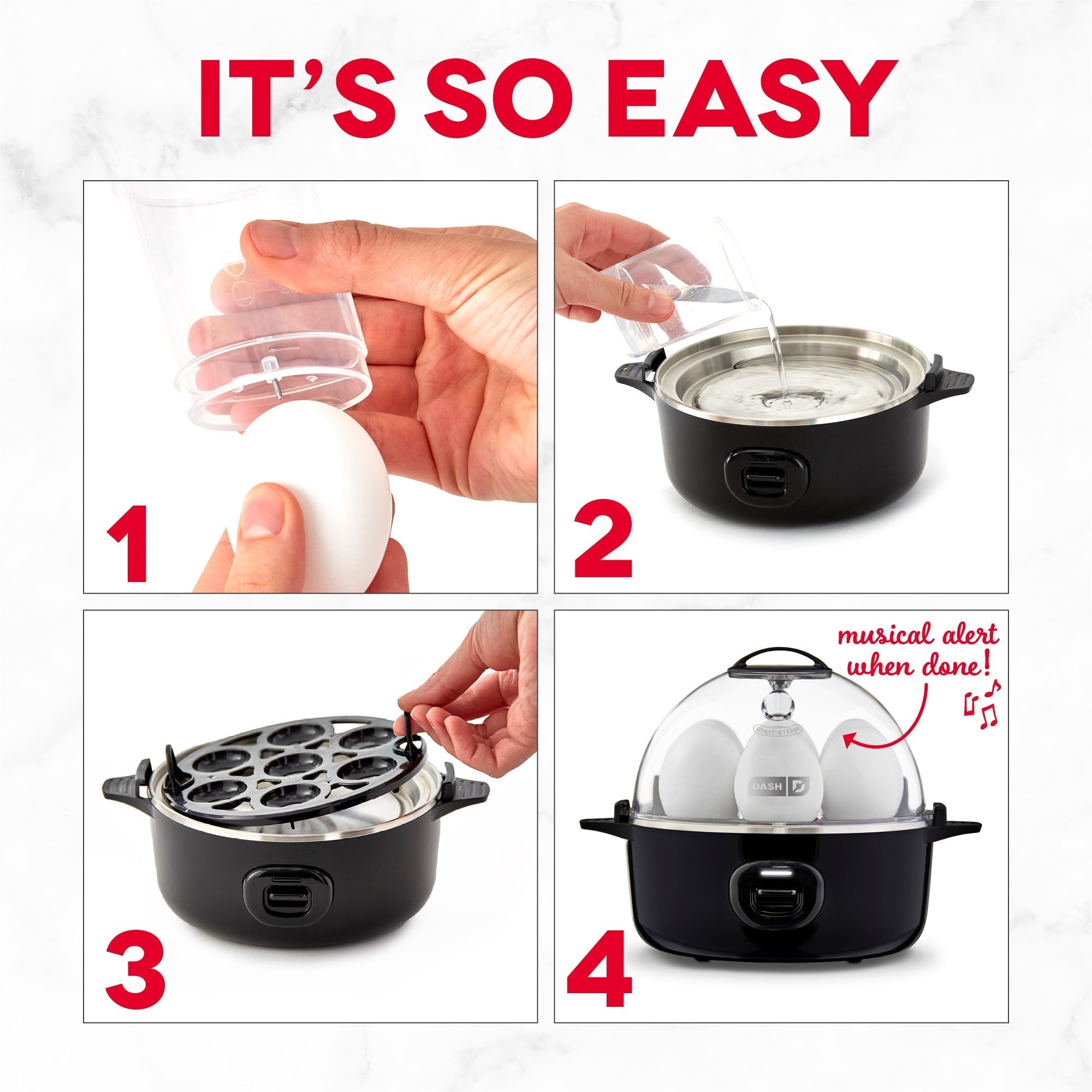 Express Egg Cooker U5　xO Z7