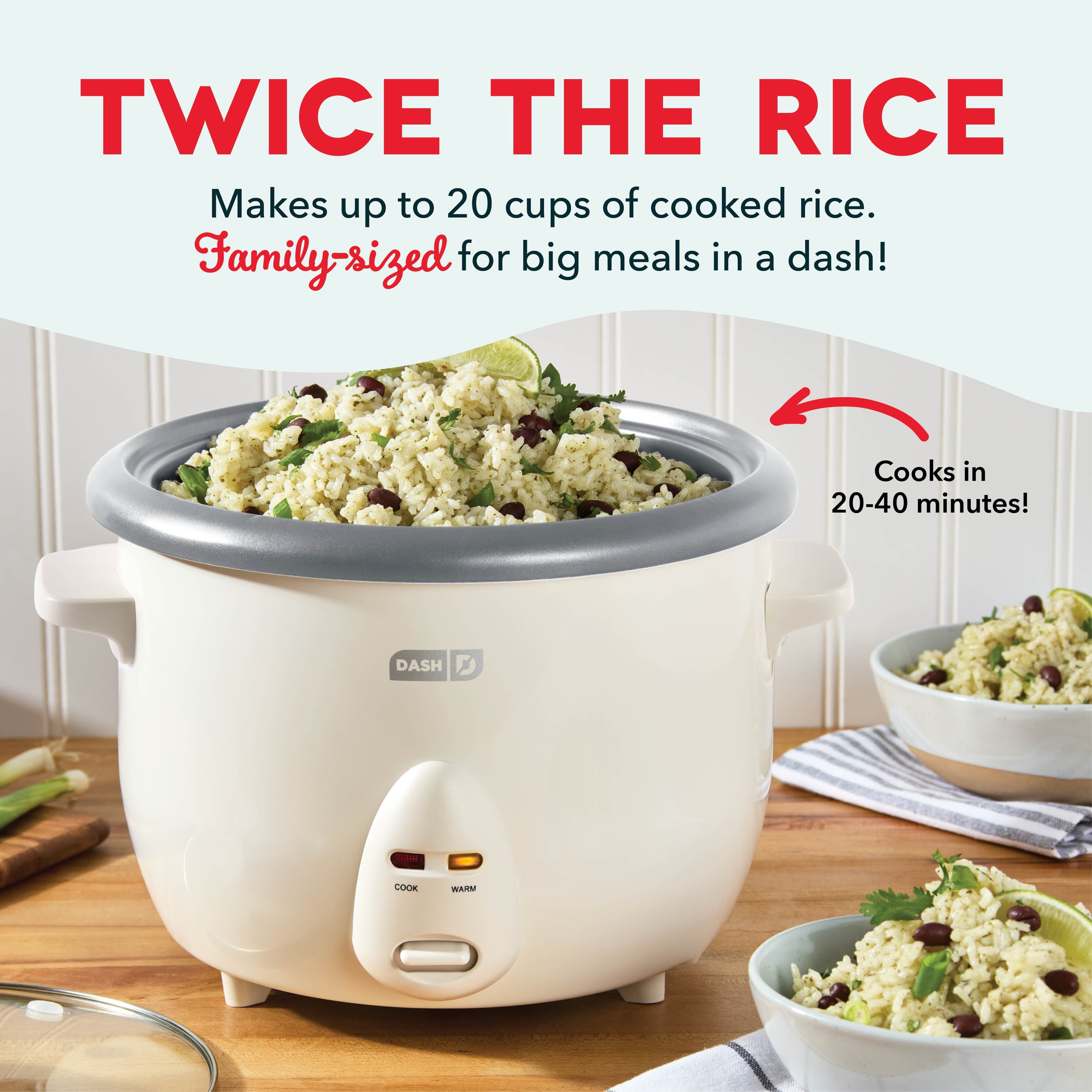 Family Sized Rice Cooker Y4　sA b5
